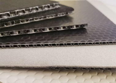 12 mm lekki materiał Wysokiej odporności na uderzenia Plastic PP Płytka z pączkami dla Van Body